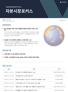 국내 BNPL 도입 현황과 규제 문제